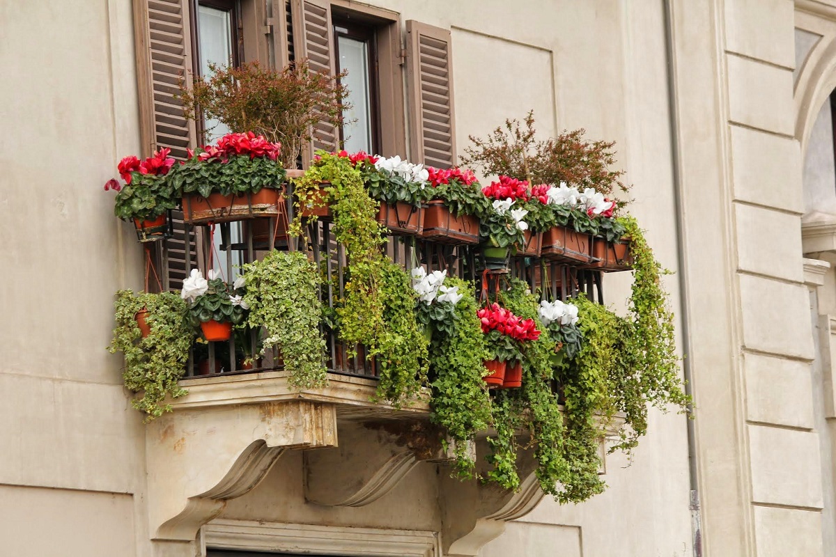 Come scegliere le piante ricadenti per il balcone e il terrazzo