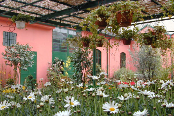 giardino Capoverde