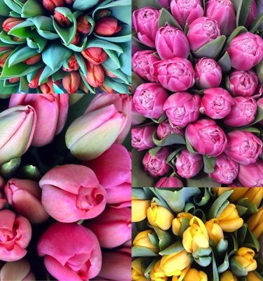 Bouquet di tulipani
