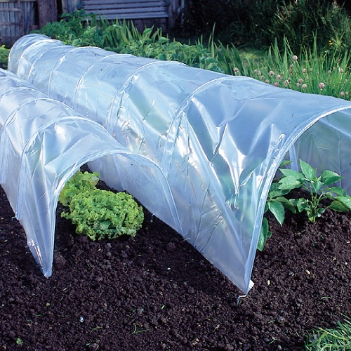 proteggere le piante dal gelo - tunnel per orto