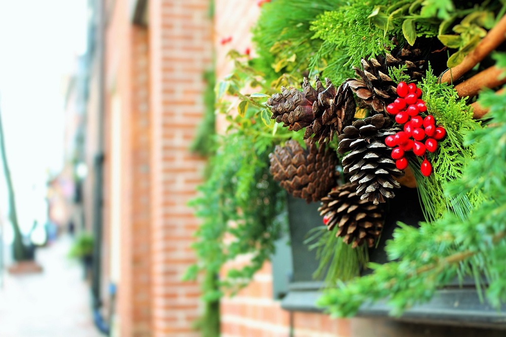 Fiori anche a Natale
