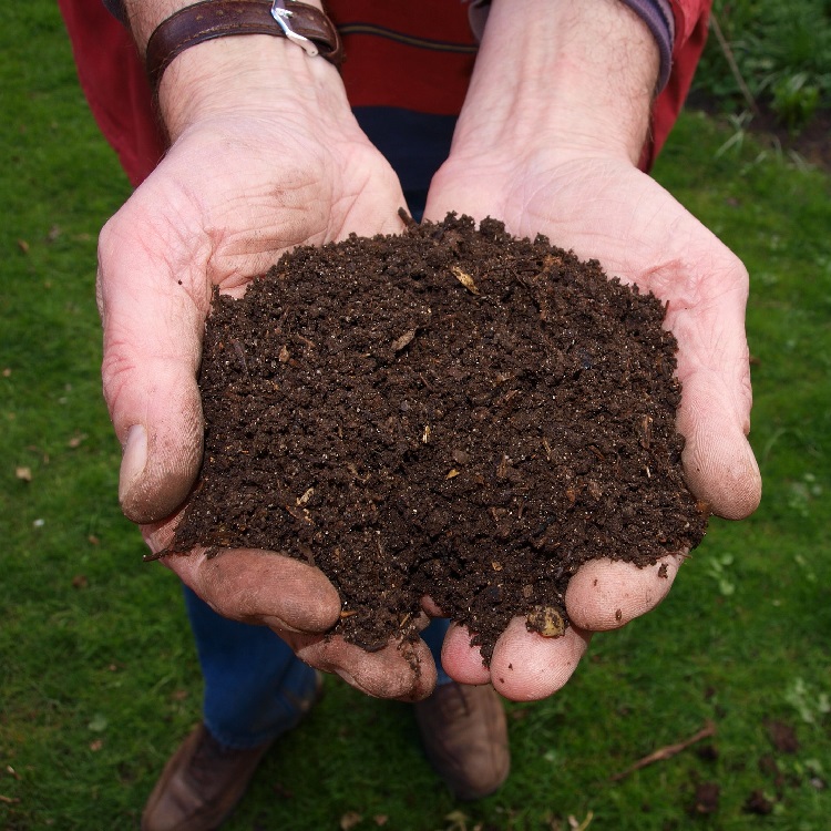 Compostaggio domestico