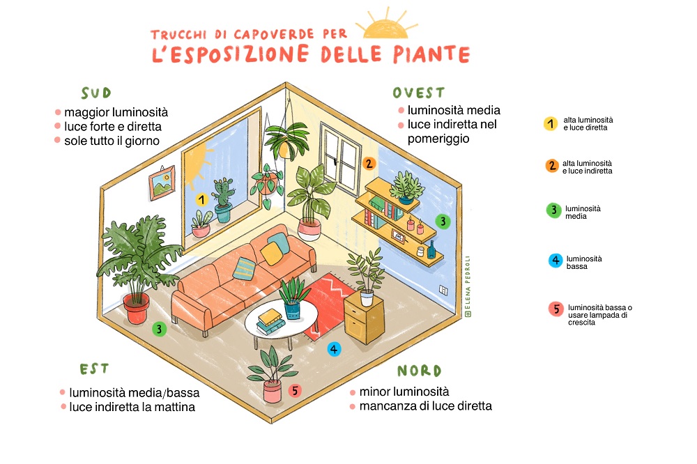 luce per le piante da appartamento