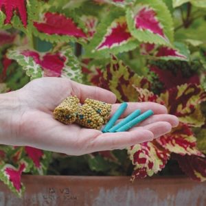 concimare piante in vaso - concime stick