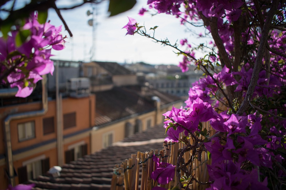 balcone fiorito in estate