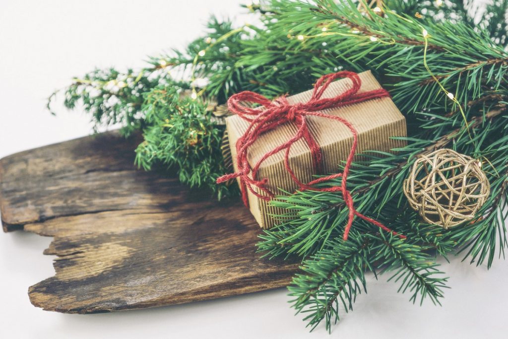piante da regalare a Natale